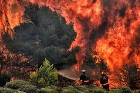 عمليات مكافحة حرائق الغابات بروسيا